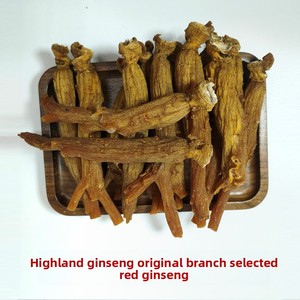 Vente en gros de bâtonnets de ginseng rouge clair séché, sans sucre ajouté, sans ingrédients artificiels, provenant de la montagne de Changbai, pour le Qi et le <span class=keywords><strong>sang</strong></span>, 500g - Product Image 2