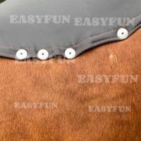 Machine à taureau gonflable commerciale EASYFUN avec effet de fumée pour jeux de carnaval et location