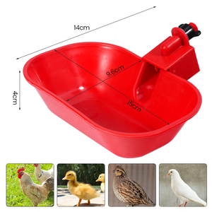 Vendita Calda: Forniture per Allevamenti Avicoli, Abbeveratoi per Galline, Quaglie e Uccelli - Product Image 2