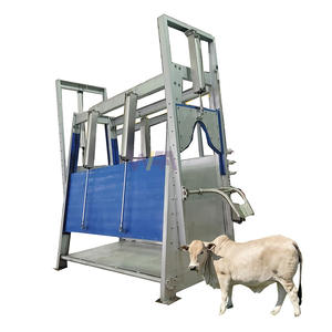 Équipement d'abattoir <span class=keywords><strong>halal</strong></span> musulman, boîte d'étourdissement pour bovins, machine d'abattoir, boîte d'abattage de buffles - Product Image 1