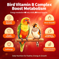 Vitamine B liquide complexe pour pigeons et perroquets avec acides aminés et extrait de foie, gouttes de soutien immunitaire et énergétique pour volailles et oiseaux exotiques