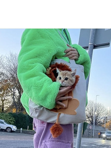 Vendita calda Costume carino a forma di <span class=keywords><strong>leone</strong></span> borsa a tracolla per animali domestici borsa a tracolla portatile per gatti borsa da trasporto esterna per cuccioli di cane borse per gatti - Product Image 4