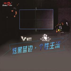 Table de tennis de table Double Fish WTT Tournament, 25 mm, pliable, pour intérieur, avec filet - Product Image 1