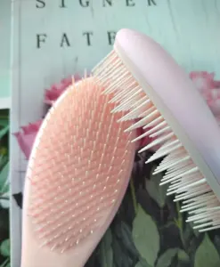 Vente chaude Accessoires de beauté coloré personnalisé démêlant cheveux cheveux auto-nettoyant brosse à cheveux rose personnalisé privé