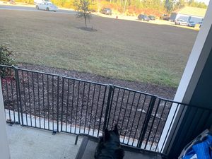 超大号 6 面板黑色铁制金属安全门，耐用现代室内可折叠长方形宠物围栏，按扣式闭合 - Product Image 3