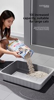 Bac à litière pour chat extra large, jetable, gris, rectangulaire, en PET, 13L, design ouvert, portable, sans lavage, étanche, pour la maison et l'extérieur