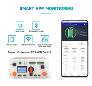 Batería de Almacenamiento de Energía VANYO de 51.2V 200Ah 10kWh LiFePO4 para Montaje en Rack, 6000 Ciclos - Product Image 2