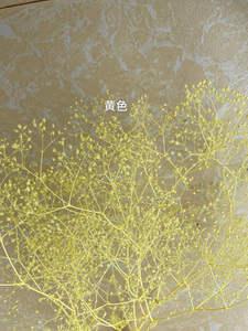2020ขายร้อนดอกไม้ที่เก็บรักษาไว้Babysbreath Preserved<span class=keywords><strong>ล้าน</strong></span>Starสำหรับตกแต่งบ้าน - Product Image 4
