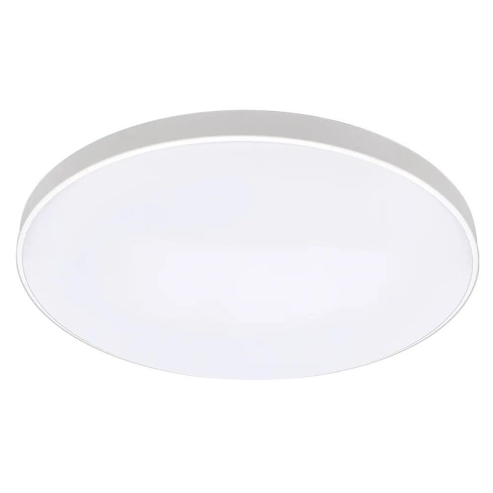 House Decoration RGBCW WiFi Remote Control Smart Music CE Dimming LED Ceiling Lamp 24W 100-265Vac LED Ceiling Light Modern