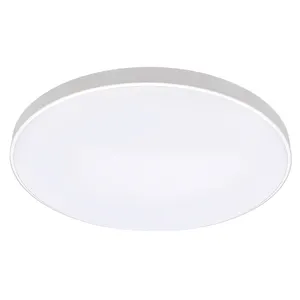 House Decoration RGBCW WiFi Remote Control Smart Music CE Dimming LED Ceiling Lamp 24W 100-265Vac LED Ceiling Light Modern