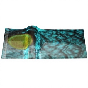 Indoor Transparent LED Film Lightweight P6.25 Adhesive Flexible LED Crystal Screen Display <b>Panel</b> for Glass <b>Window</b> - Product Image 1