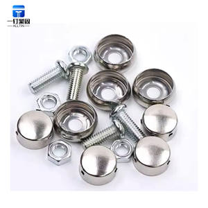 Juego de tornillos para placa de matrícula antirrobo de acero inoxidable de alta calidad de grado disponible en sistemas de medición de pulgadas y métricas - Product Image 5