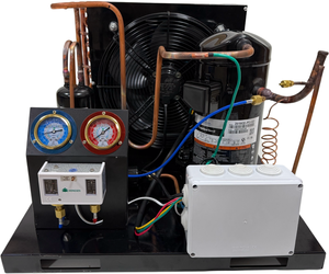 <span class=keywords><strong>Xinba</strong></span> หน่วยทำความเย็น25HP 20HP 6HP 5HP 3HP พร้อมคอมเพรสเซอร์ระบบควบแน่นด้วยอากาศสำหรับห้องเย็น - Product Image 2