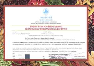 Producto agrícola de sésamo con casco blanco puro 100% - Product Image 3