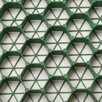 Dalles de pavage en grille HDPE pour allées, haute résistance, capacité de charge élevée, 2-3 cm, pour parcs de stationnement, gravier, gazon, écologiques, perméables, pour jardin