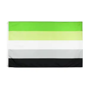 Aromantic Pride FLAG 3X5 FTS LGBTQ แบนเนอร์แนวโรแมนติก aromanticism เพศ Rainbow BANNER