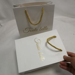 Échantillon Gratuit, Petite Quantité, Sac en Papier Personnalisé de Luxe avec Estampage à Chaud Doré, Sacs en Carton Colorés et Unis avec Votre Propre Logo - Product Image 4