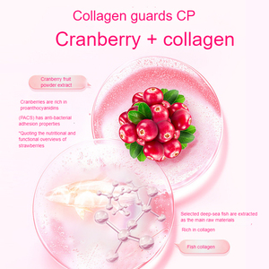 Colágeno de Arándano en Polvo Personalizado al por Mayor, Marca OEM, Productos de Moléculas Pequeñas, Bebida Saborizada en Sobres, Empaquetado en Caja - Product Image 2