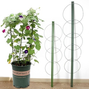 Bâtons d'escalade avec 3 anneaux pour plantes <span class=keywords><strong>de</strong></span> jardin, <span class=keywords><strong>Support</strong></span> <span class=keywords><strong>de</strong></span> fleurs, en treillis floral, bacs à semis, dosettes, 40 pièces - Product Image 1