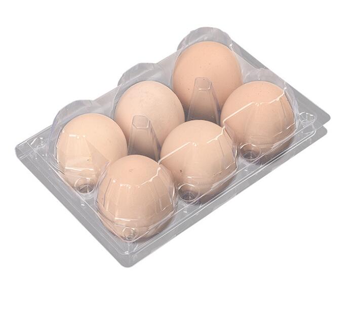 Bandeja de plástico para huevos, 6 celdas, personalizada, alta calidad, transparente, PET, rectangular, 6 agujeros