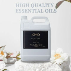 น้ำมันหอมระเหย 5 ลิตร สำหรับเครื่องกระจายกลิ่นหอมในล็อบบี้โรงแรม น้ำมันหอมระเหยชนิดพิเศษ ขวดใหญ่ ทนทาน - Product Image 4