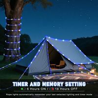 Luces de Cuerda LED Neonawall de 20 Metros, Espaciado de LED de 10 cm, Luces de Tubo con Enchufe para Decoración de Jardín, Patio y Piscina, Color Azul y Blanco