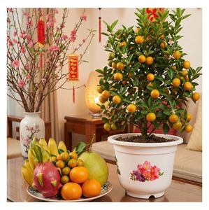 กระถางต้นไม้พลาสติกสีขาว PP สำหรับปลูกดอกไม้ในสวน พร้อมลายพิมพ์ สำหรับปลูกบอนไซ ใช้ภายนอกอาคาร ขนาด A300 ราคาโรงงาน - Product Image 1