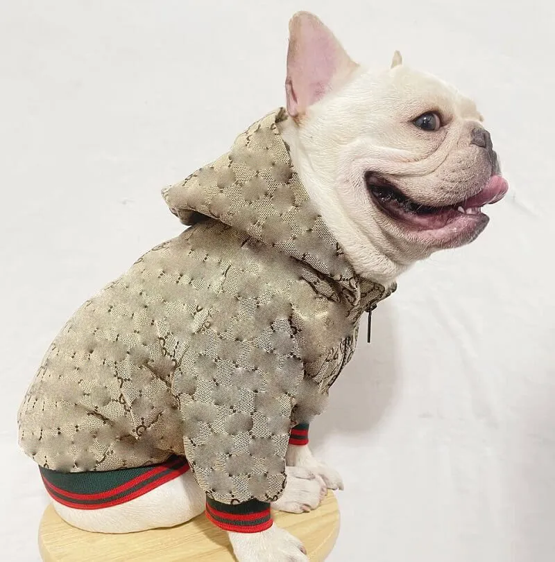 Kerst Luxe Ontwerpers Kleine Hond Kleding Mode Huisdier Accessoires Kleding Jumper Winter Fabrikant Uit China Groothandel