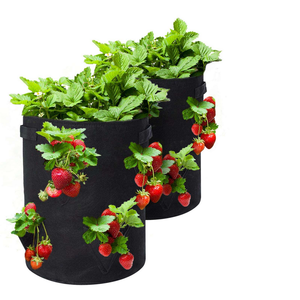 Sac de plantation pour fraises, intérieur/extérieur, sac de culture pour fraises - Product Image 6