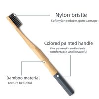 Ensemble de brosses à dents en bambou naturel poils souples charbon de bois blanchiment des dents soins bucco-dentaires aide dentaire usage domestique