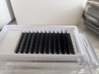 Nouvelles extensions de cils populaires LJ LB LC LD M L Curl Easy Fan 0.07mm Camellia Lashes, longueurs mixtes 8-15mm, effet sauvage et volumineux