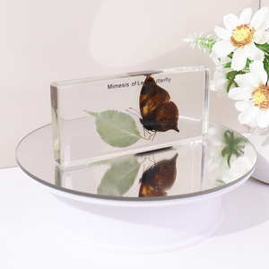 Venta al por mayor de especímenes de resina de taxidermia de mariposas con imitación de hojas de animales reales, equipo didáctico para escuelas secundarias - Product Image 2