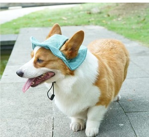 Chapeau Bob pour Chiot Golden Retriever Corgi en Velours Côtelé Mignon, Protection UV Extérieure d'Été, Accessoire Photo, Trous d'Oreilles Ajustables - Product Image 1