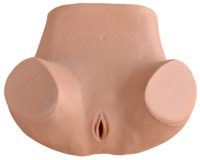 Modelo de Vagina Artificial para parto ginecológico, para enseñanza médica