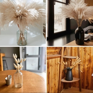 Magnifiques fleurs séchées naturelles Arrangements <span class=keywords><strong>de</strong></span> roseau <span class=keywords><strong>de</strong></span> pampa Bouquets <span class=keywords><strong>de</strong></span> mariage <span class=keywords><strong>de</strong></span> fête pour Noël Pâques Halloween Nouvel An - Product Image 6