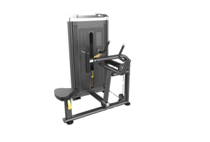 Équipement d'entraînement physique DFT, équipement de gymnastique Commercial à double pression - Product Image 4