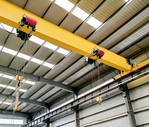 Cầu trục dầm đơn Châu Âu kích thước tùy chỉnh và màu sắc bên ngoài của nhà sản xuất sản phẩm bán nóng - Product Image 5