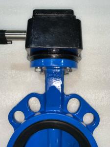 Dn80 वाफर तितली वाल्व डी शरीर डी + ईपॉक्सी डिस्क - Product Image 4