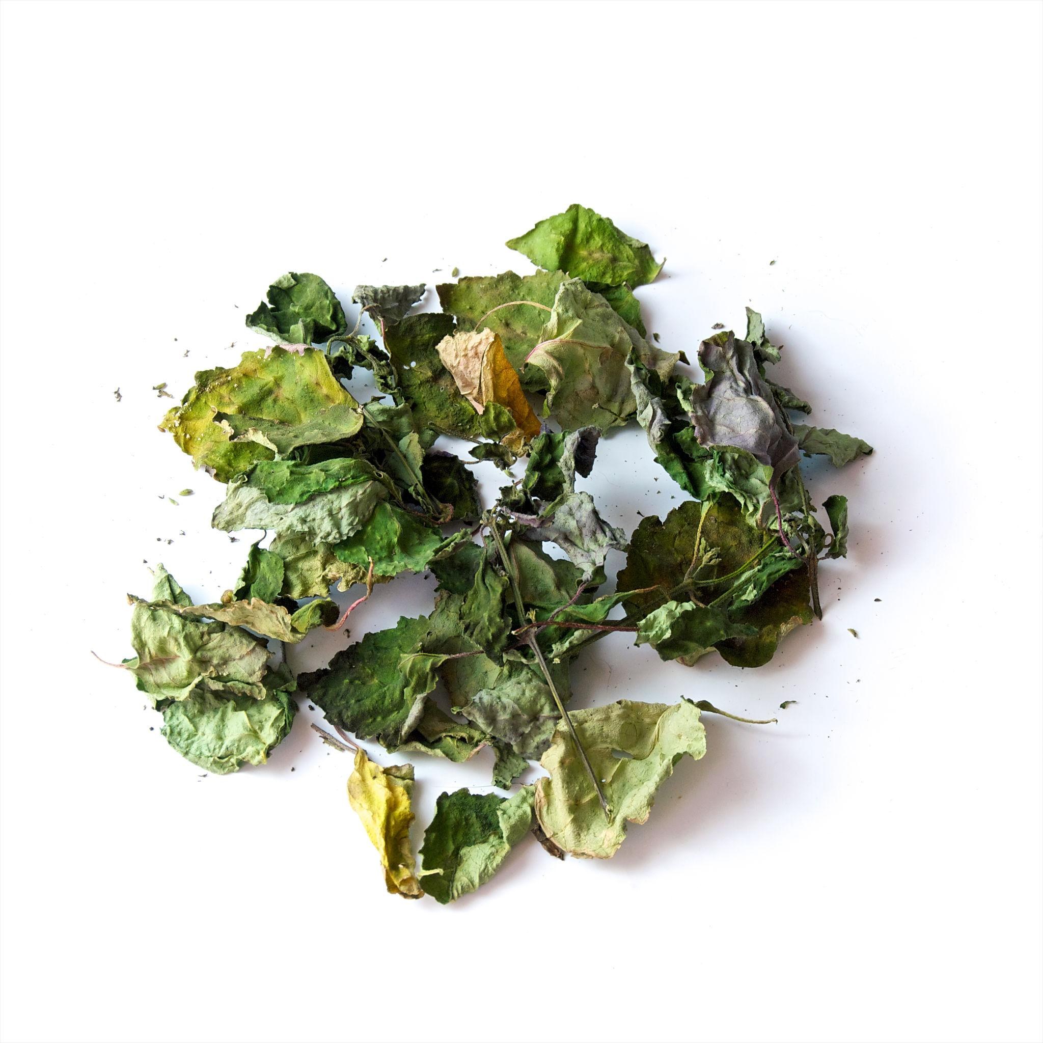 Dried Patchouli Herb Bulk | Natural Chinese Herbal Medicine | Factory Supply OEM