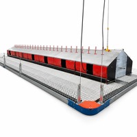 Nouveau système d'alimentation automatique à chaîne Ranchero RF-01 en acier inoxydable pour fermes avicoles, équipement de ligne d'alimentation pour élevages de poulets