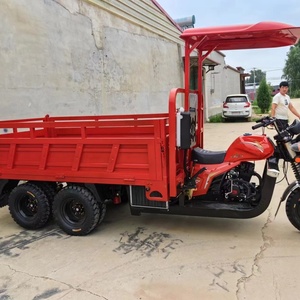 Fabricante Chino de Triciclos Tuk Tuk de Tres Ruedas, 200cc 300cc, de Gasolina, Triciclo de Carga, Motocicleta - Product Image 4