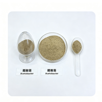 Acetobacter 10 milliards UFC/g – Poudre de culture de bactéries acétiques pour la fermentation alimentaire, dédiée à la fabrication du vinaigre comestible