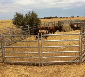 cost-effective cattle panel 60mm X 30mm oval beef rail and 40mm X 40mm RHS posts