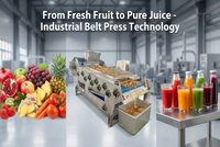 Automatische industriële fruitpersmachine met koude pers technologie voor kleine en middelgrote sapfabrieken