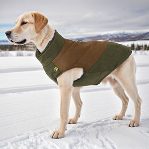 Abrigo de invierno impermeable para perros al por mayor del fabricante - Product Image 6