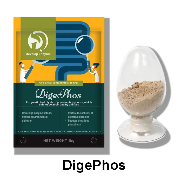 Dige Phos Enzyme -- phytase pour poulet pour poisson pour volaille