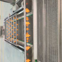 Luchtbelwasmachine / Watercirculatie groentewasmachine / Fruitwasmachine