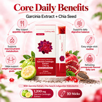 Bâtonnets de gelée de Garcinia Cambogia à marque privée OEM avec graines de chia, fibres alimentaires, complément bien-être pour la gestion du poids, 250g