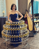 LiqVis Présentoir lumineux LED pour bouteilles, Mur de champagne, Robe tutu, Plateau lumineux pour artiste, Service de table VIP pour mariage