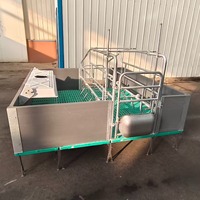Cage de maternité moderne pour truies avec espace de ramassage des porcelets – Équipement d'élevage porcin pour systèmes d'élevage intensif